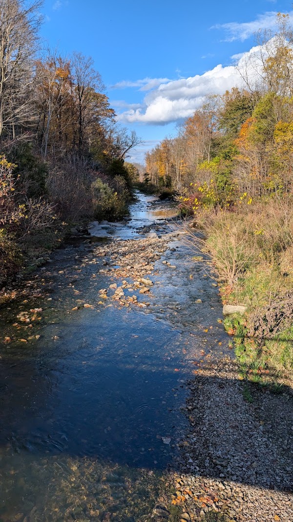 Albion Falls 5