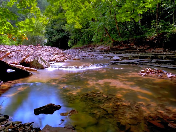 Albion Falls 2