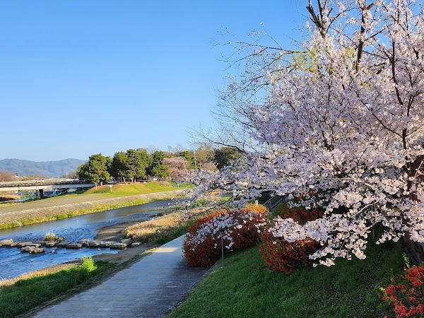 Kamogawa Delta 1