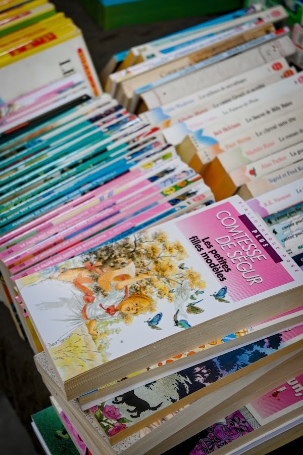Marché du livre ancien et d'occasion 3