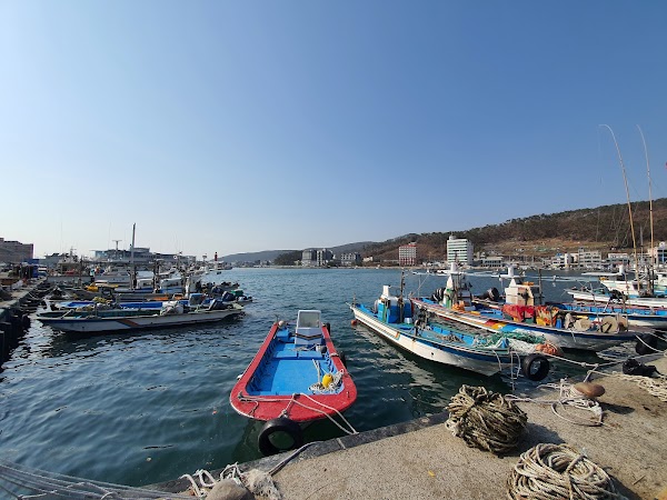 Gijang-gun 2