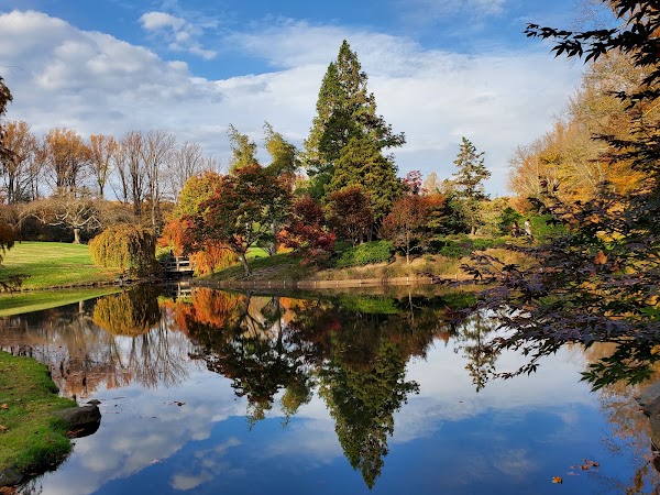 Wheaton Regional Park 3