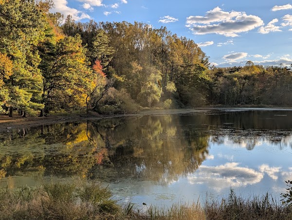 Wheaton Regional Park 2