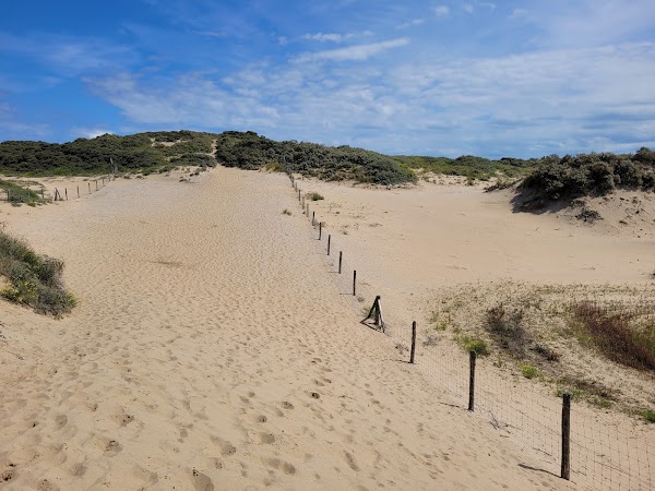 Viewpoint Noordduinen 5