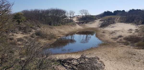 Viewpoint Noordduinen 4
