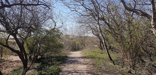 Viewpoint Noordduinen 3