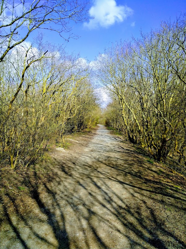 Viewpoint Noordduinen 2