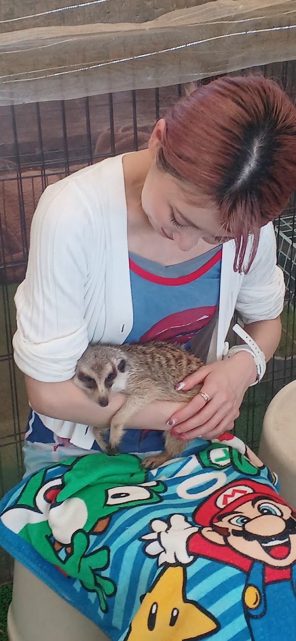 Hirano Animal Terrace