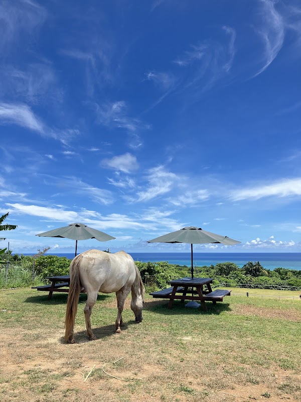 Hirano Animal Terrace 2