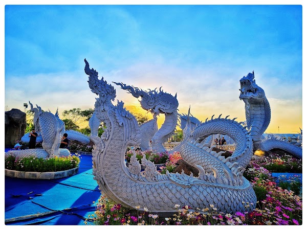 Wat Don Yai 4