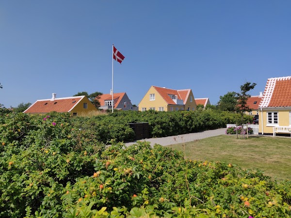 Skagen 5