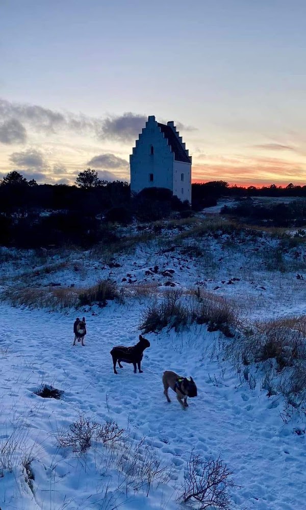 Skagen 2