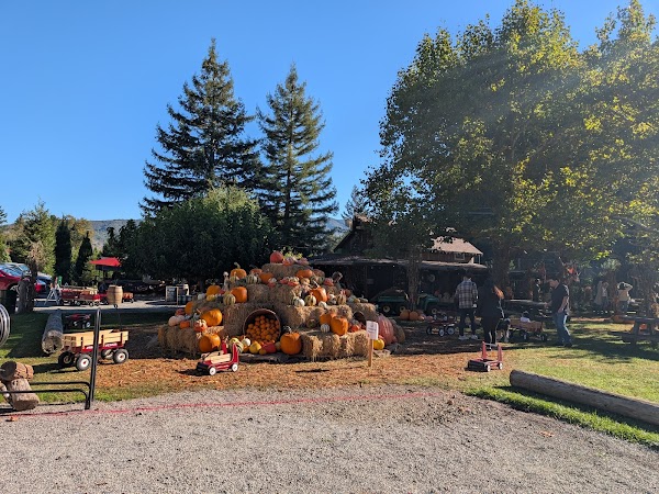 Patchen Tree Farm and Pumpkin Patch 5