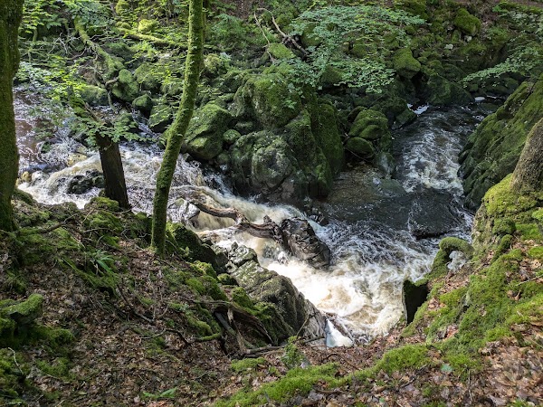 Torrent Walk