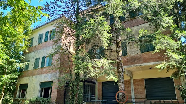 Passo del Trebbio