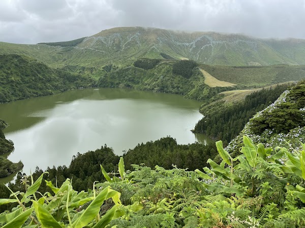 Açores 42