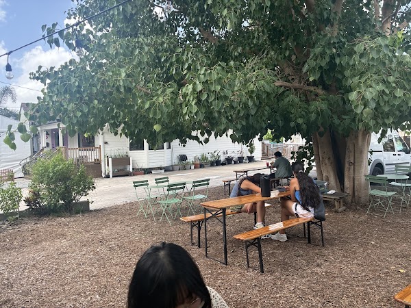 Koko Kakigori Cafe