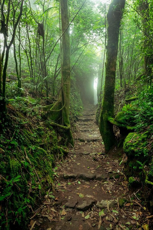 Mombacho Volcano Nature Reserve 4