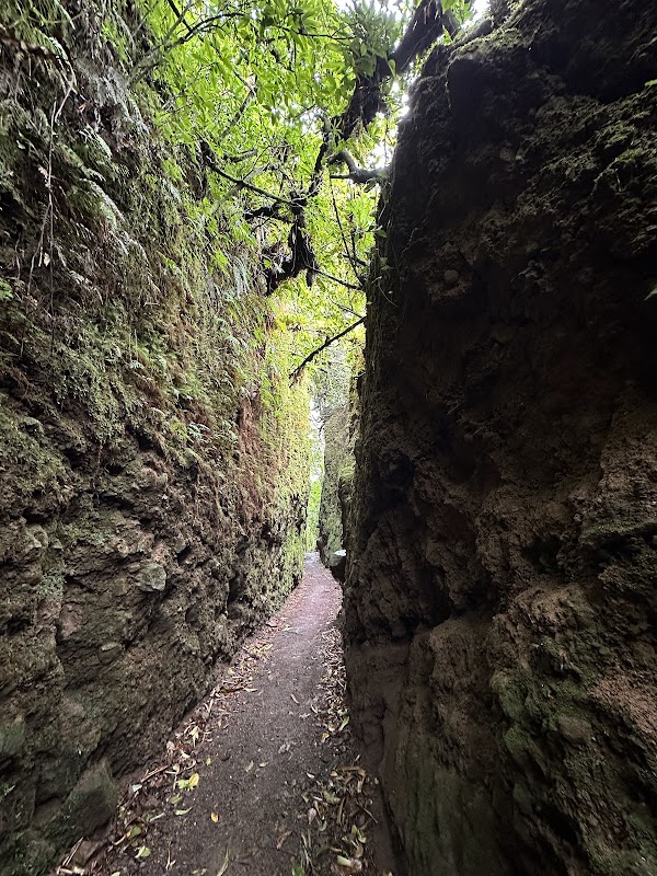 Mombacho Volcano Nature Reserve 2