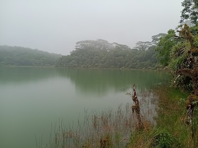 Lanutoo