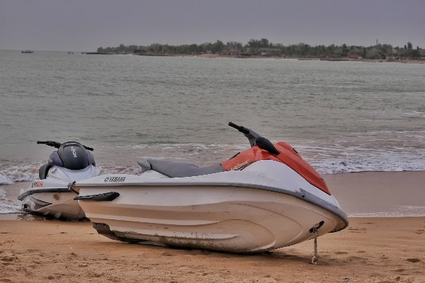 Saly