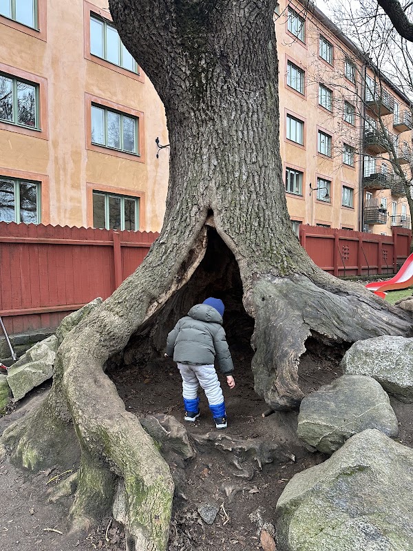 Ivar Lo's park 2