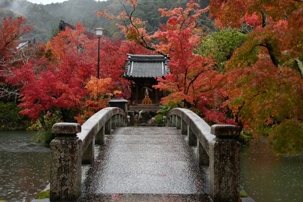Eikandocho 1