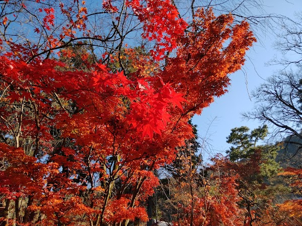 Eikandocho 5