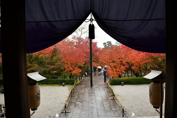 Eikandocho 4