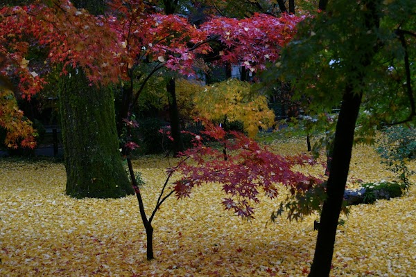 Eikandocho 3