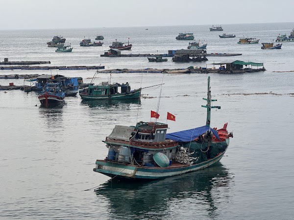 Cầu phao bến du thuyền View 2