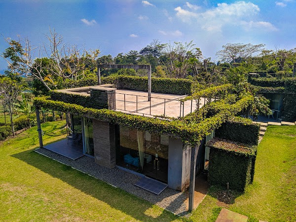 Tea Garden Resort