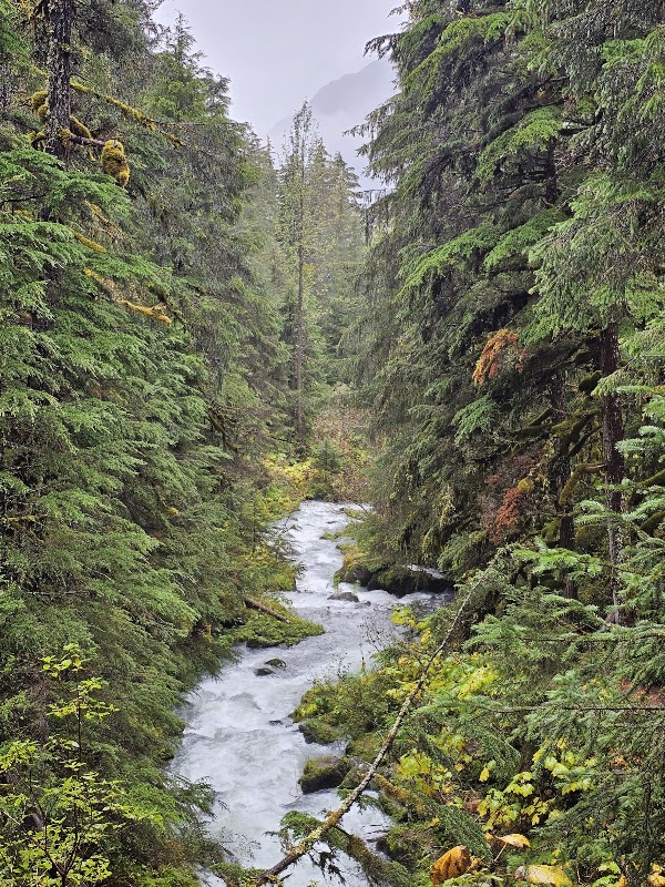 Virgin Creek Falls Trailhead