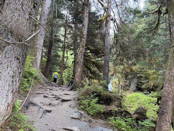 Virgin Creek Falls Trailhead 4