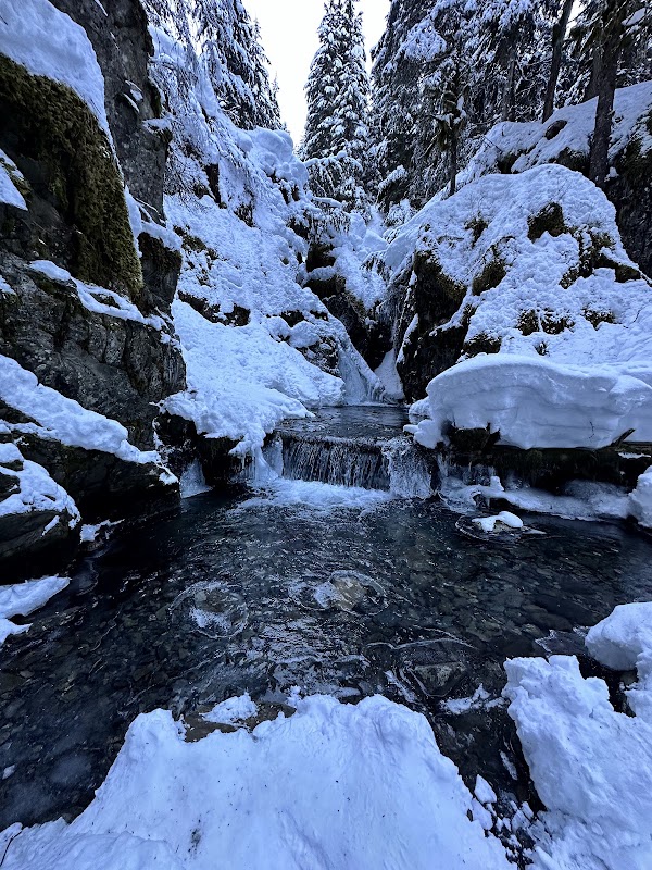 Virgin Creek Falls Trailhead 2