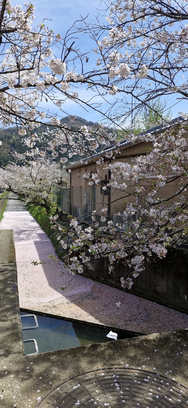 Robert Yellin Yakimono Gallery 3
