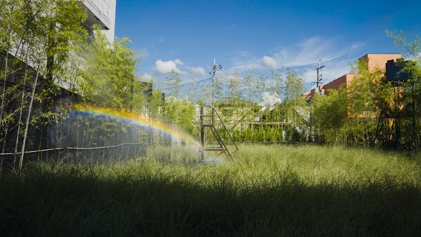 teamLab: Field of Wind, Rain and Sun 1