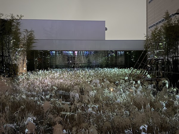 teamLab: Field of Wind, Rain and Sun 4