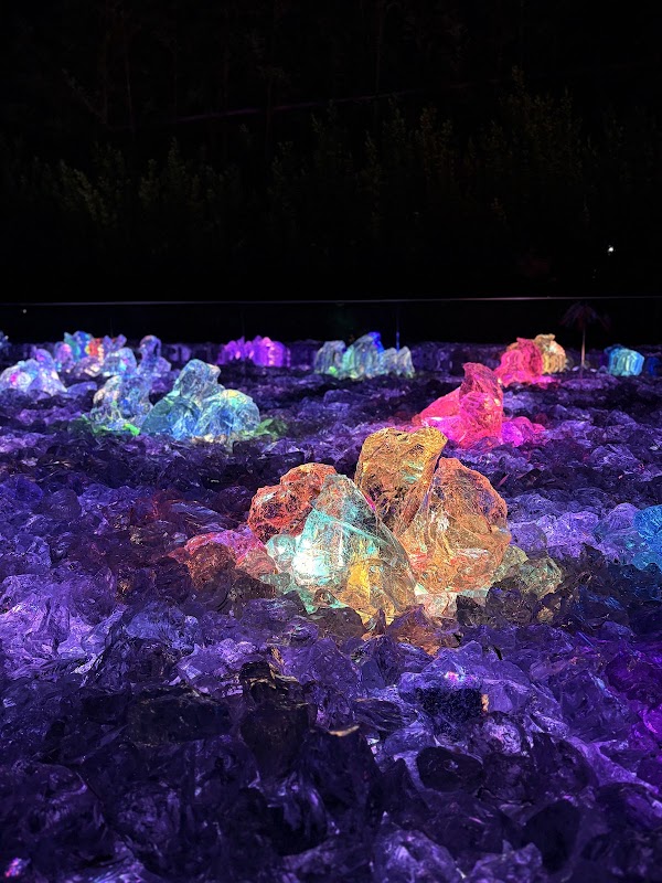 teamLab: Field of Wind, Rain and Sun 2