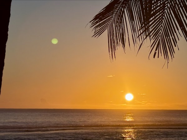 The Waterline Restaurant and Outrigger Beach Bar 4