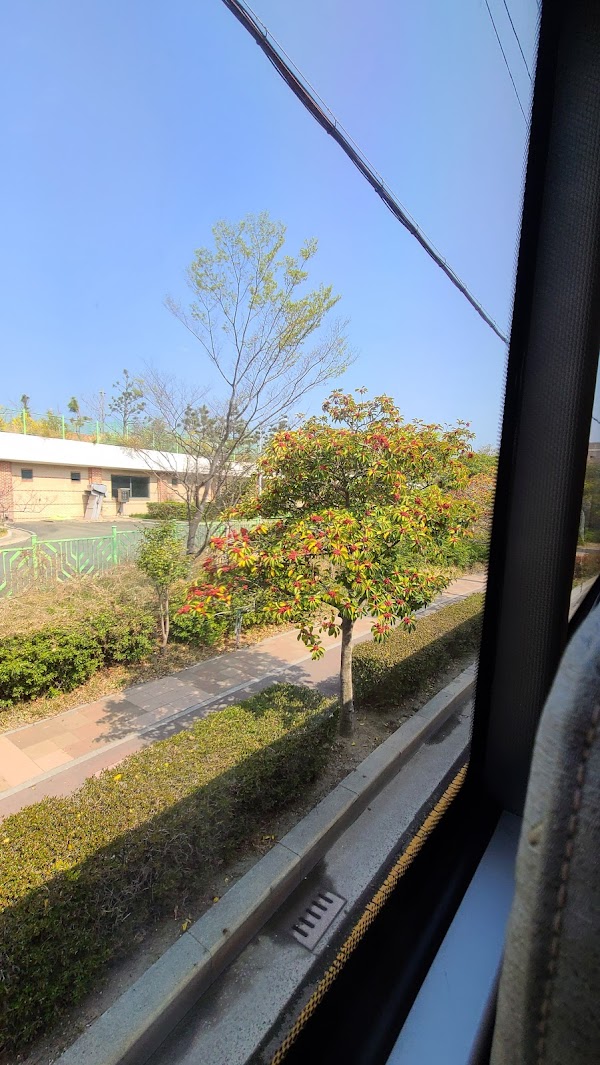 Yeongdo-gu 3