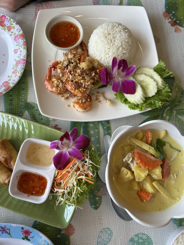 Jungle Kitchen 4