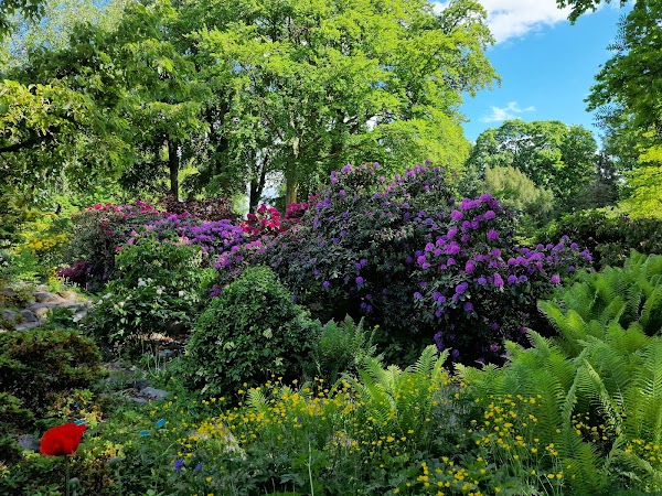 Botaniska trädgården 4
