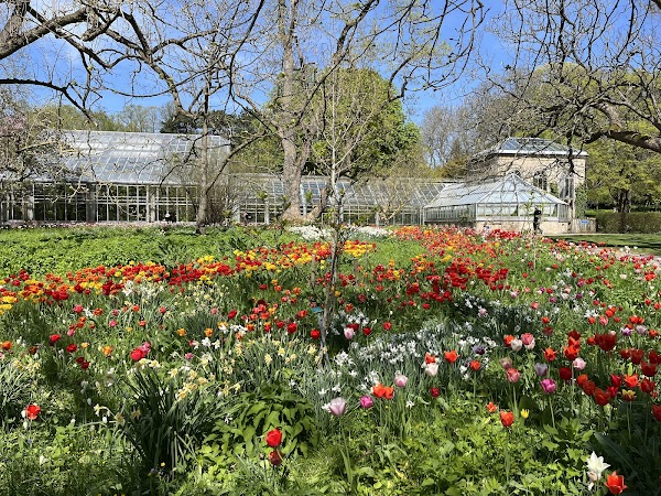 Botaniska trädgården 3