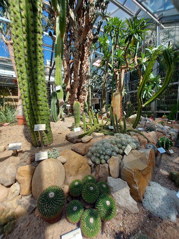 Botaniska trädgården 2