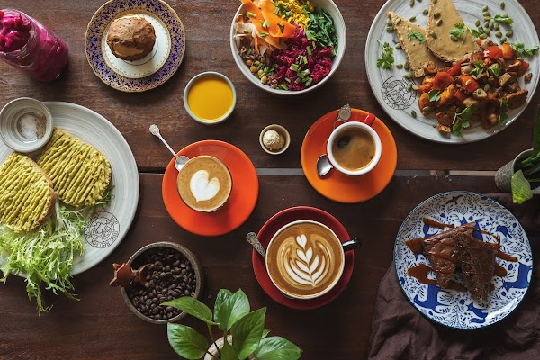The Little Red Fox Espresso Cafe 5