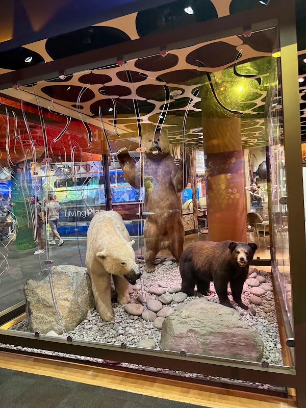 Discovery Place Science 5