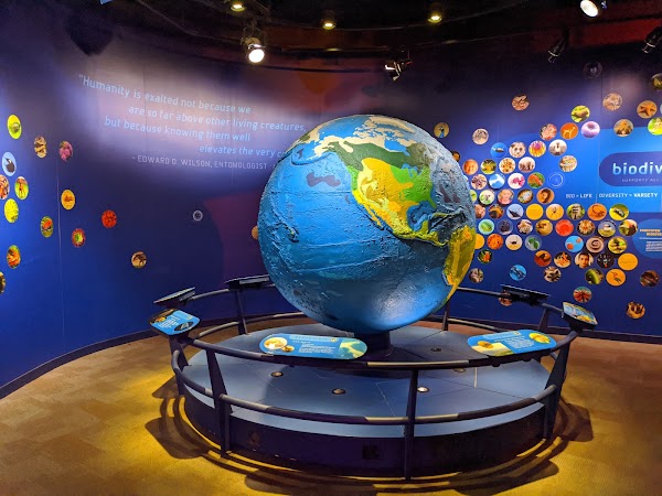 Discovery Place Science 4