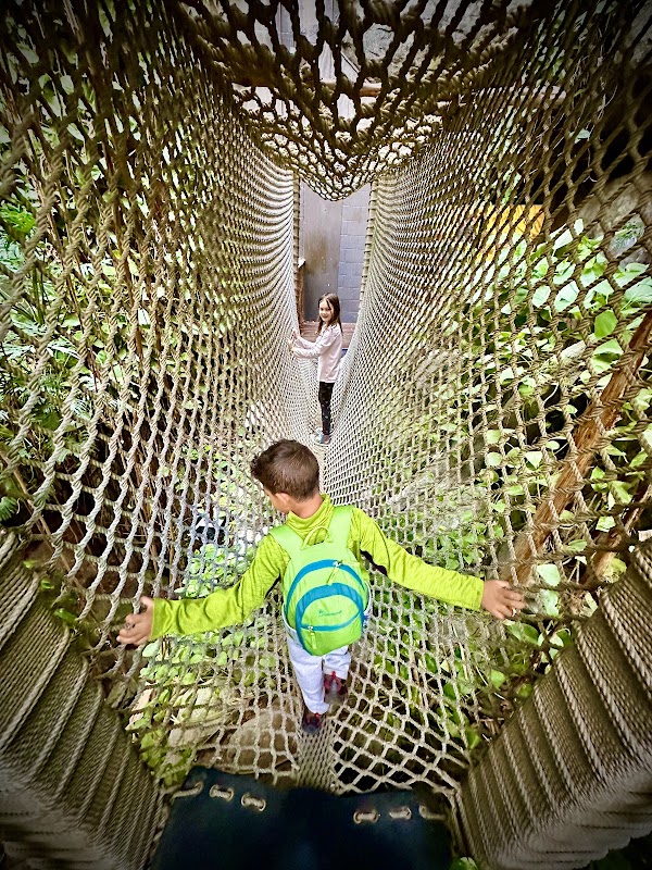 Discovery Place Science 2