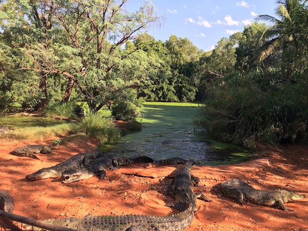 Malcolm Douglas Crocodile Park 2